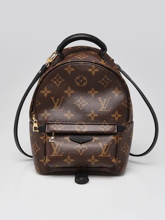 Louis Vuitton Monogram Canvas Palm Springs Mini Backpack Bag main image 10